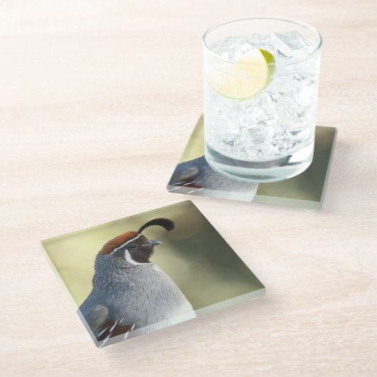 Male Quail Glazen Onderzetter (Schuin)