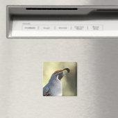 Male Quail Magneet (Insitu (Vaatwasser))