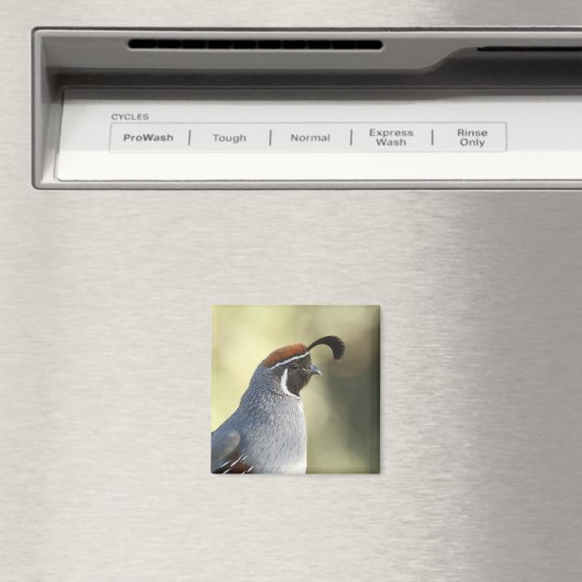 Male Quail Magneet (Insitu (Vaatwasser))