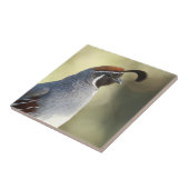 Male Quail Tegeltje (Zijkant)