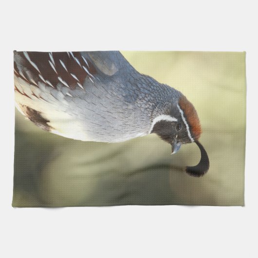 Male Quail Theedoek (Horizontaal)