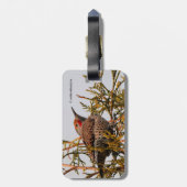 Male Red-Shafted Northern Flicker in een boom Bagagelabel (Achterkant verticaal)