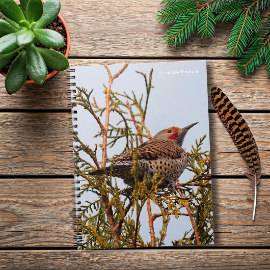 Male Red-Shafted Northern Flicker in een boom Notitieboek