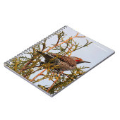 Male Red-Shafted Northern Flicker in een boom Notitieboek (Linkerzijde)