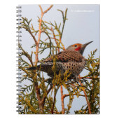 Male Red-Shafted Northern Flicker in een boom Notitieboek (Voorkant)