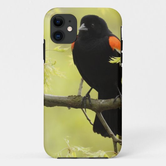 Male Red Winged Blackbird Case-Mate iPhone Case (Achterkant)