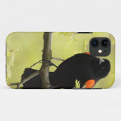 Male Red Winged Blackbird Case-Mate iPhone Case (Achterkant (horizontaal))