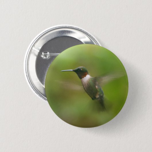 Male Ruby Throat Hummingbird Button (Voorkant /achterkant)