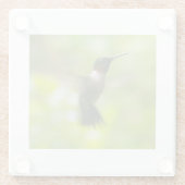 Male Ruby Throat Hummingbird Glazen Onderzetter (Achterkant)