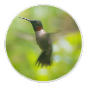 Male Ruby Throat Hummingbird Keramische Knop (Voorkant)