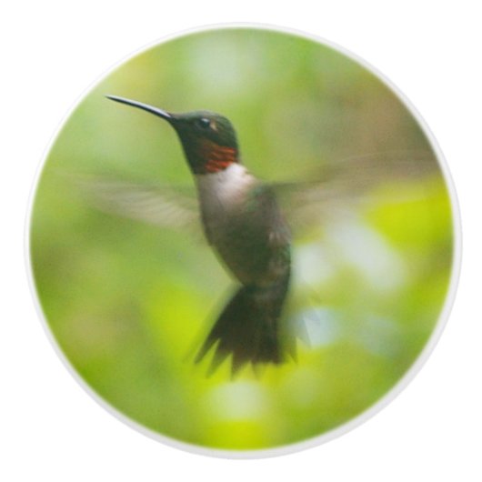 Male Ruby Throat Hummingbird Keramische Knop (Voorkant)