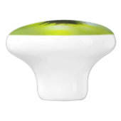 Male Ruby Throat Hummingbird Keramische Knop (Zijkant)