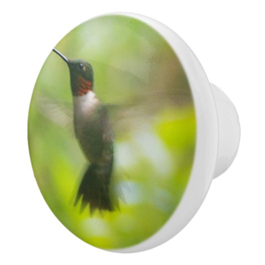 Male Ruby Throat Hummingbird Keramische Knop (Rechts)
