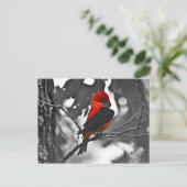 Male Scarlet Tanager Briefkaart (Staand voorkant)
