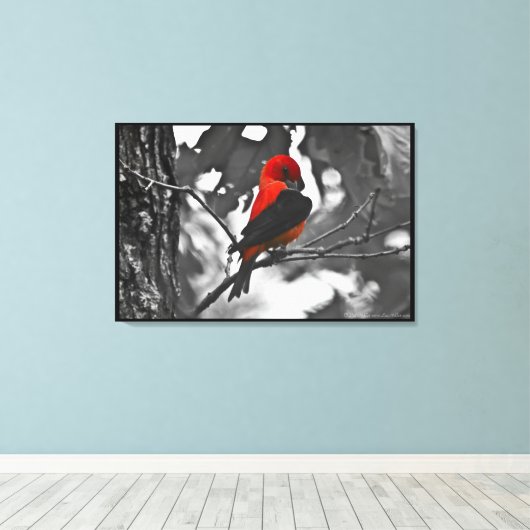 Male Scarlet Tanager Canvas Afdruk (Insitu (Houten vloer))