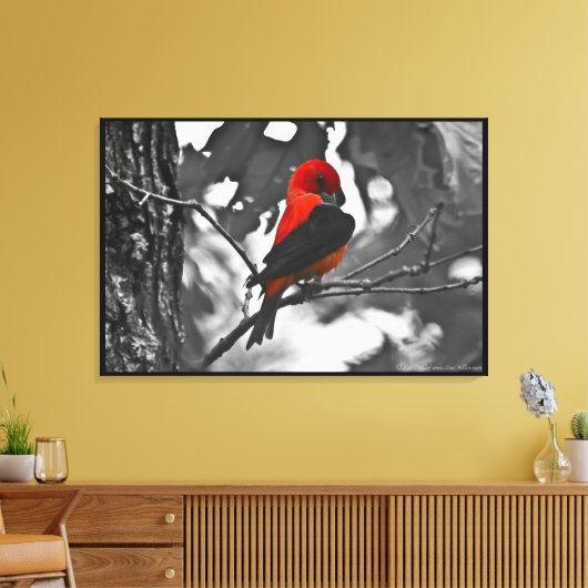 Male Scarlet Tanager Canvas Afdruk (Insitu (Woonkamer))