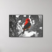 Male Scarlet Tanager Canvas Afdruk (Voorkant)