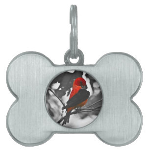 Male Scarlet Tanager Huisdieren Naamplaatje