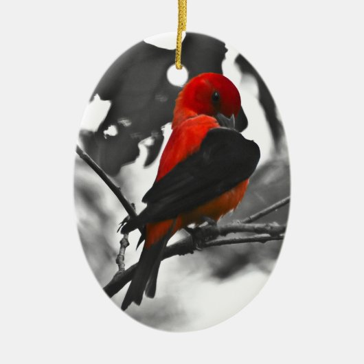Male Scarlet Tanager Keramisch Ornament (Voorkant)