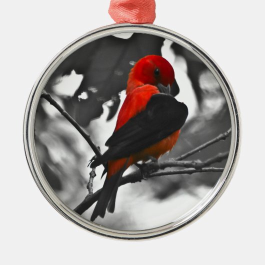Male Scarlet Tanager Metalen Ornament (Voorkant)