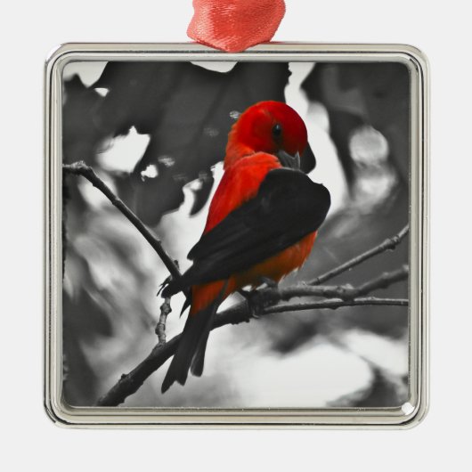 Male Scarlet Tanager Metalen Ornament (Voorkant)