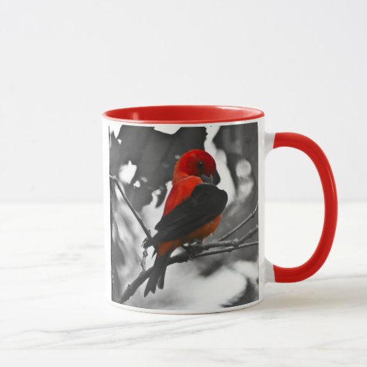 Male Scarlet Tanager Mok (Rechts)