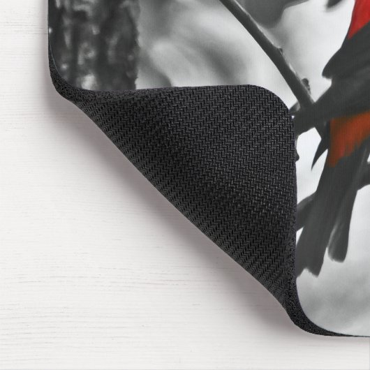 Male Scarlet Tanager Muismat (Hoek)