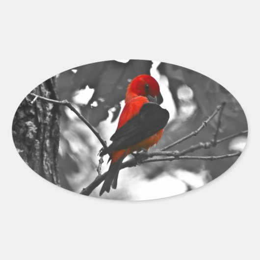 Male Scarlet Tanager Ovale Sticker (Voorkant)