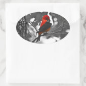 Male Scarlet Tanager Ovale Sticker (Tas)