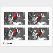 Male Scarlet Tanager Rechthoekige Sticker (Vel)