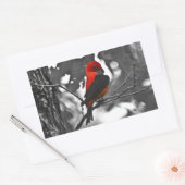Male Scarlet Tanager Rechthoekige Sticker (Envelop)