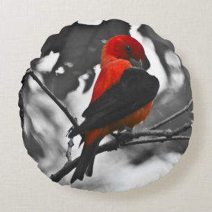 Male Scarlet Tanager Rond Kussen