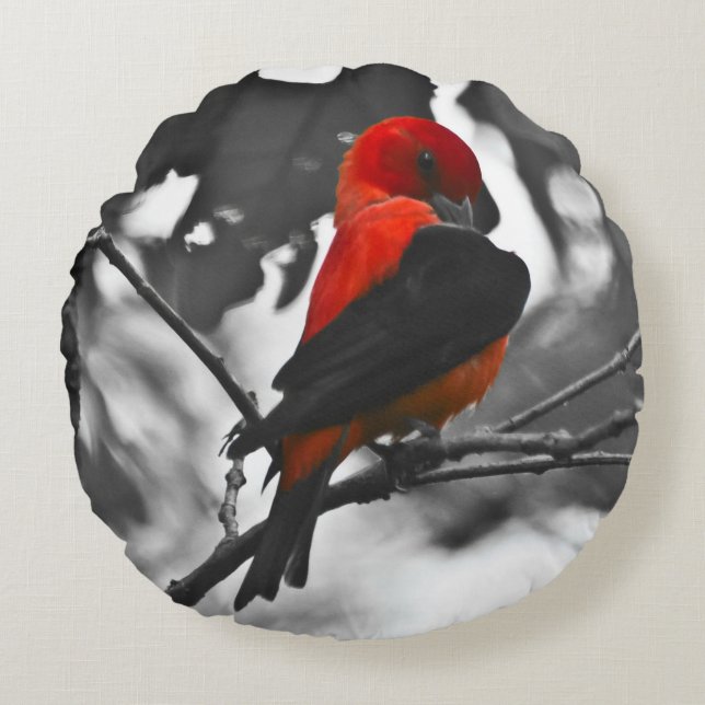 Male Scarlet Tanager Rond Kussen (Voorkant)