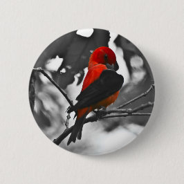 Male Scarlet Tanager Ronde Button 5,7 Cm
