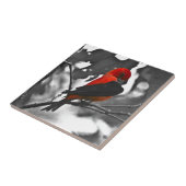 Male Scarlet Tanager Tegeltje (Zijkant)