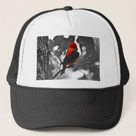 Male Scarlet Tanager Trucker Pet