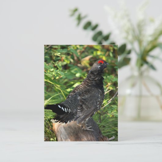 Male Spruce Grouse Briefkaart (Staand voorkant)