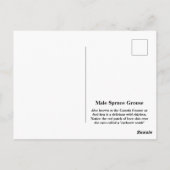 Male Spruce Grouse Briefkaart (Achterkant)