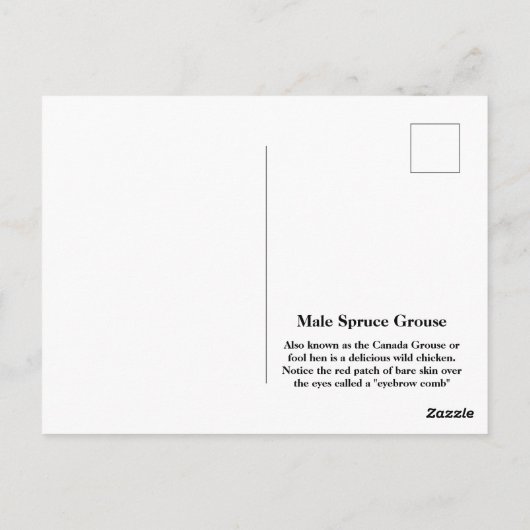 Male Spruce Grouse Briefkaart (Achterkant)