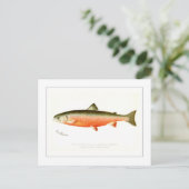 Male Sunapee Trout Briefkaart (Staand voorkant)