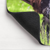 Male Turkey close up Muismat (Hoek)