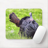 Male Turkey close up Muismat (Met muis)