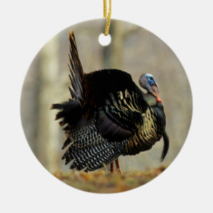 Male turkey strutting, Illinois Keramisch Ornament