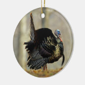 Male turkey strutting, Illinois Keramisch Ornament (Links)