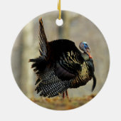 Male turkey strutting, Illinois Keramisch Ornament (Achterkant)