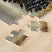 Male turkey strutting, Illinois Legpuzzel (Zijkant)