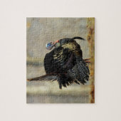 Male turkey strutting, Illinois Legpuzzel (Verticaal)