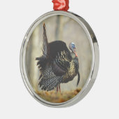 Male turkey strutting, Illinois Metalen Ornament (Links)