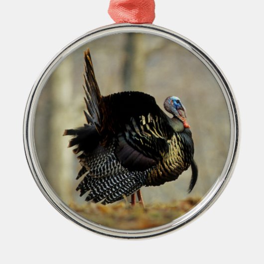 Male turkey strutting, Illinois Metalen Ornament (Voorkant)