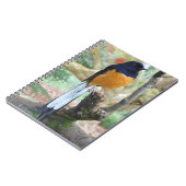 Male White-Rumped Shama Bird Notitieboek (Linkerzijde)